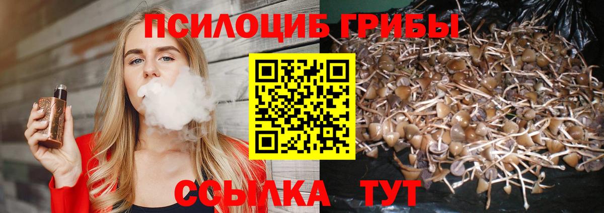 Галлюциногенные грибы мицелий  Вход с VPN  Йошкар-Ола 